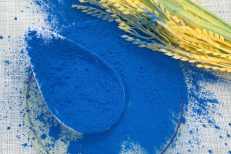 Blue Spirulina Powder Blue Spirulina Powder