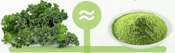 kale bulk powder kale bulk powder