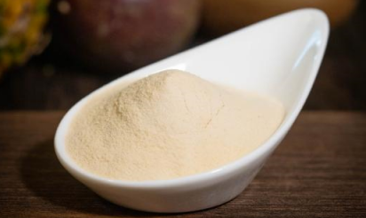 guava powder guava powder