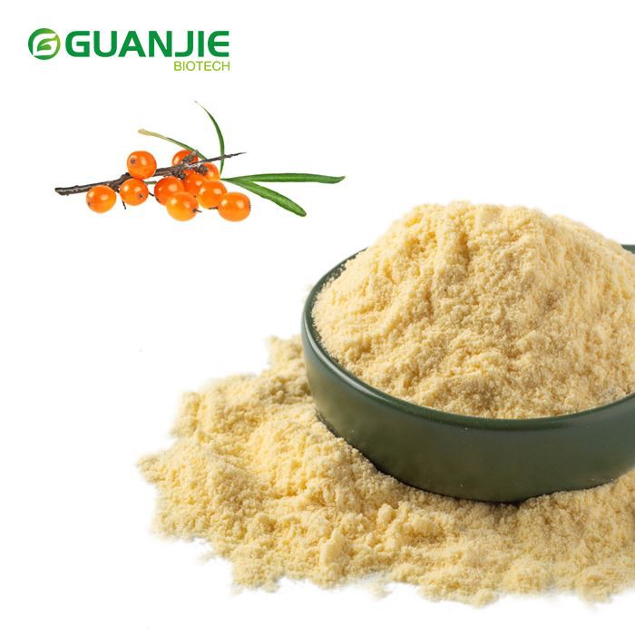 Σκόνη φρούτων Ιπποφαές