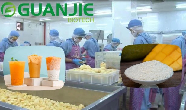 Mango Powder In Juice Mango Powder In Juice