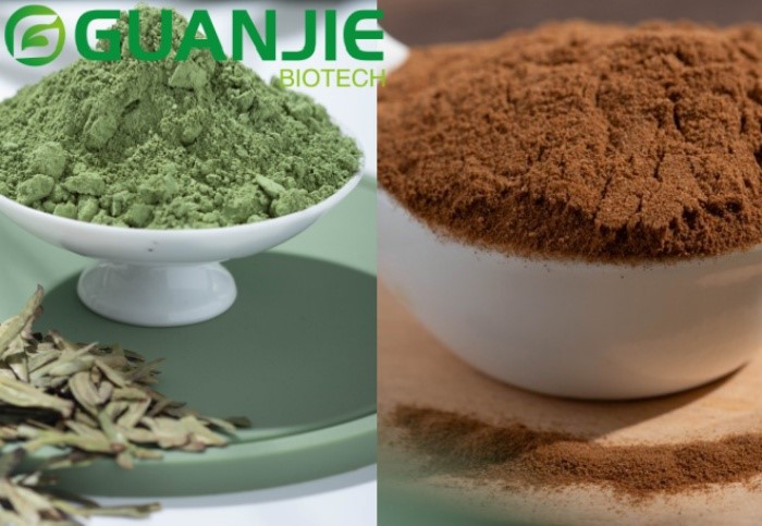 Is Black Tea Powder Different From Normal Tea Powder Is Black Tea Powder Different From Normal Tea Powder