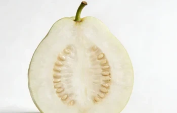 fresh guava fresh guava