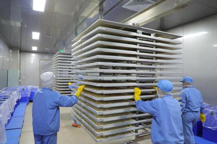 freeze-dried carrot powder freeze-dried carrot powder